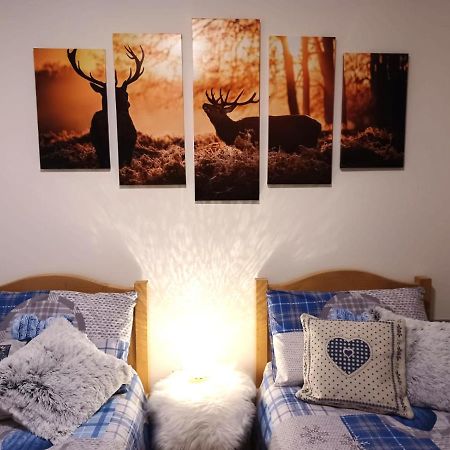 Appartamento Valmaor Predazzo Dış mekan fotoğraf